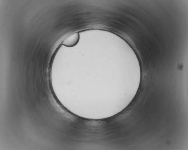 X0000112150947200909181420
