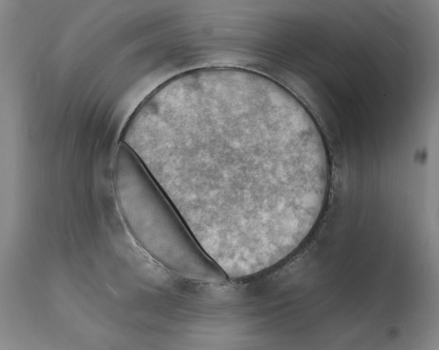 X0000112150948200909181420