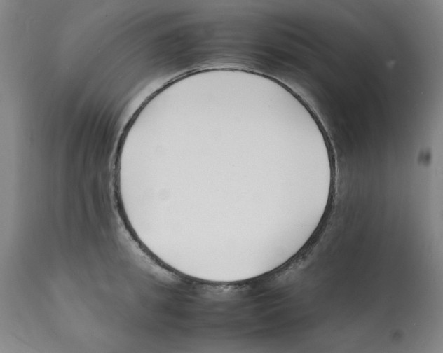X0000112150949200909181420