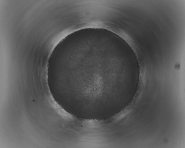 X0000112150950200909181420
