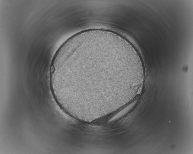 X0000112150951200909181420