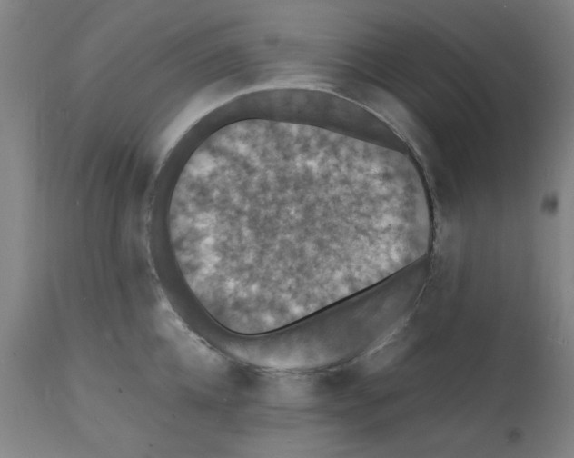 X0000112150952200909181420