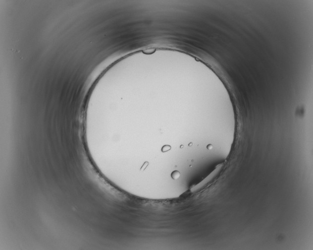 X0000112150955200909181420