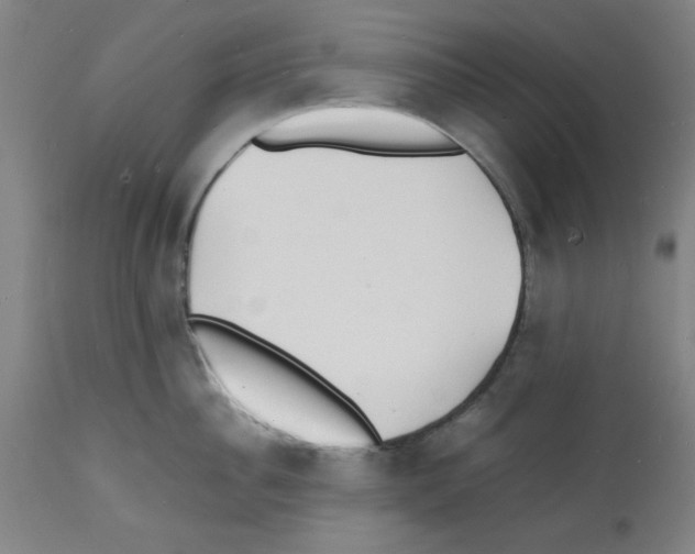 X0000112150956200909181420