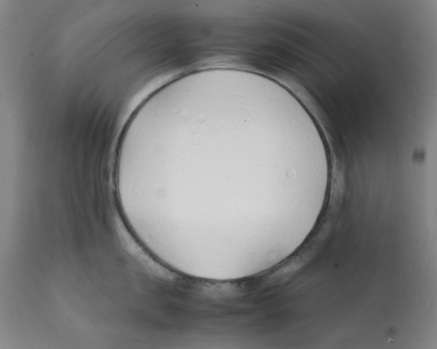 X0000112150957200909181420
