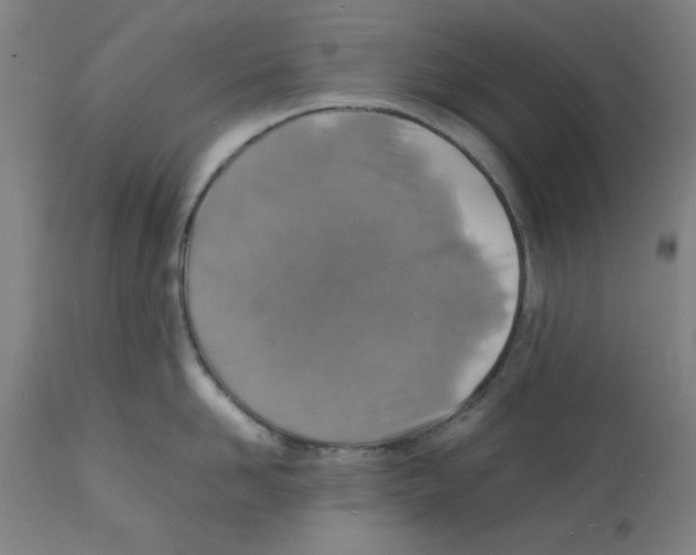 X0000112150958200909181420