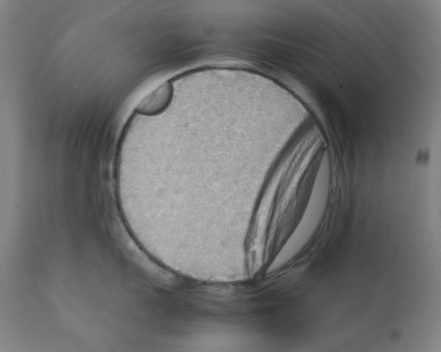 X0000112150959200909181420