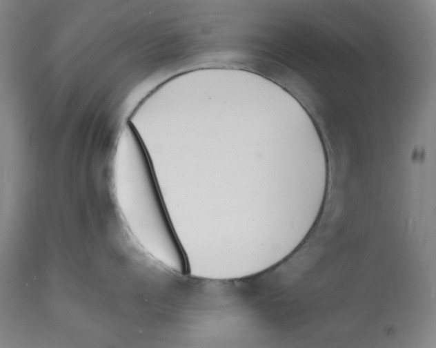 X0000112150960200909181420