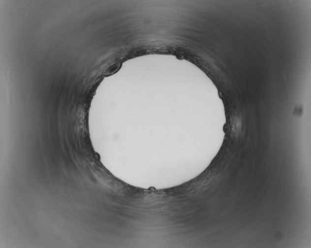 X0000112150964200909181419