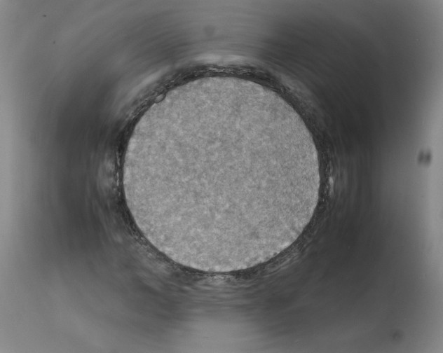X0000112150966200909181419