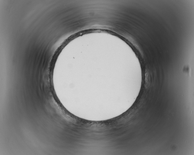 X0000112150972200909181419