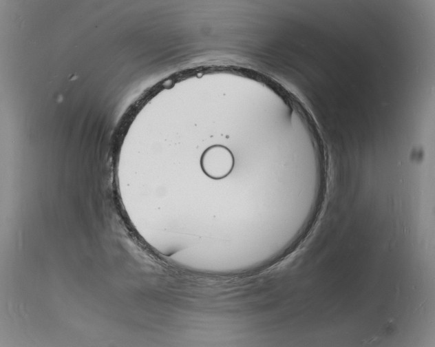 X0000112150973200909181419