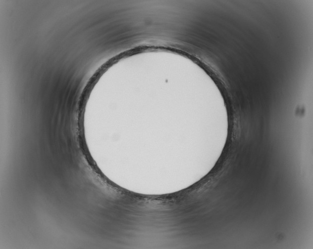 X0000112150976200909181419