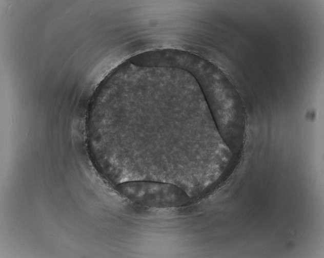 X0000112150977200909181419