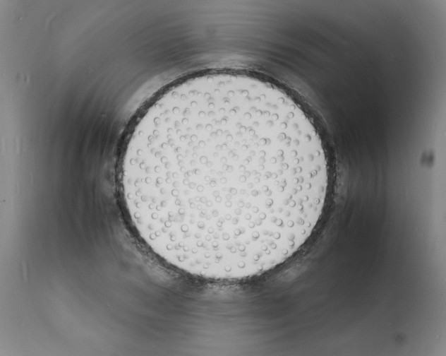 X0000112150978200909181419