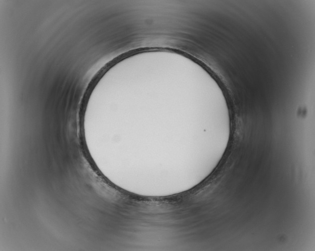 X0000112150980200909181419