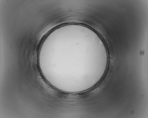 X0000112150981200909181419