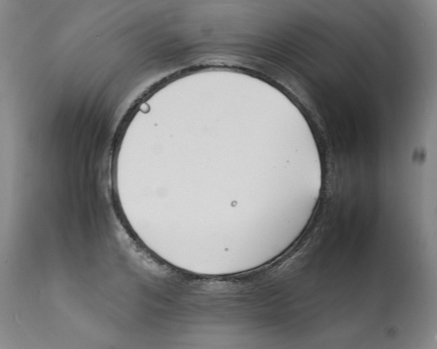 X0000112150984200909181419