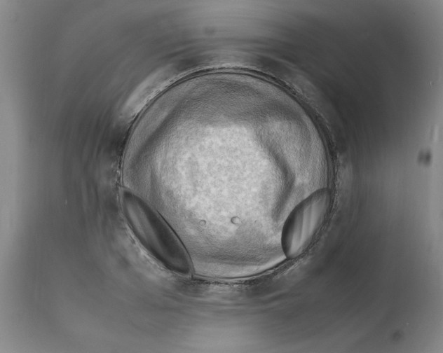 X0000112150985200909181419