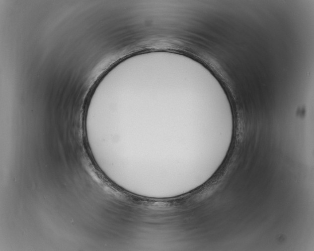 X0000112150986200909181419