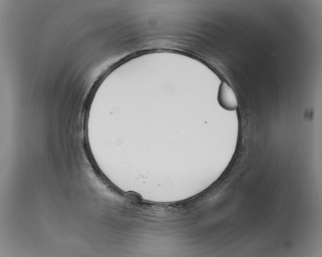 X0000112150987200909181419