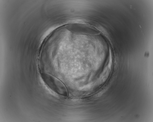 X0000112150989200909181419