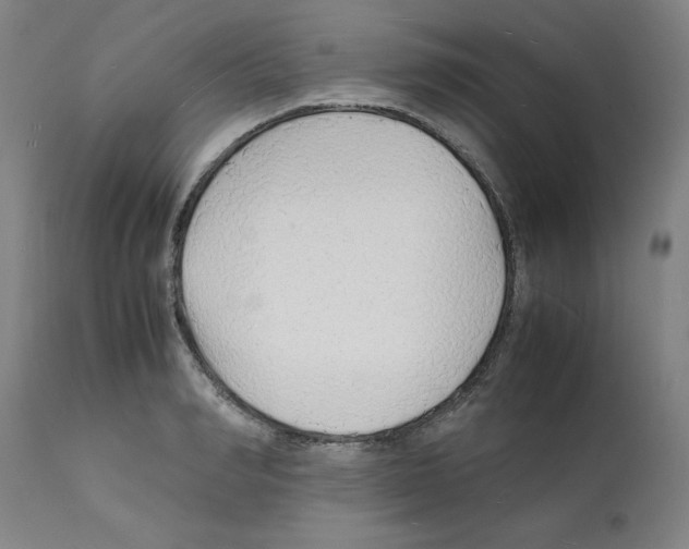 X0000112150990200909181419