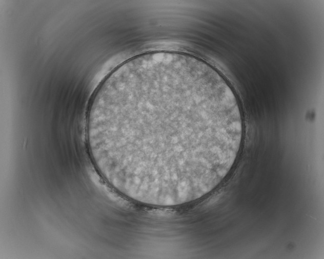 X0000112150994200909181419