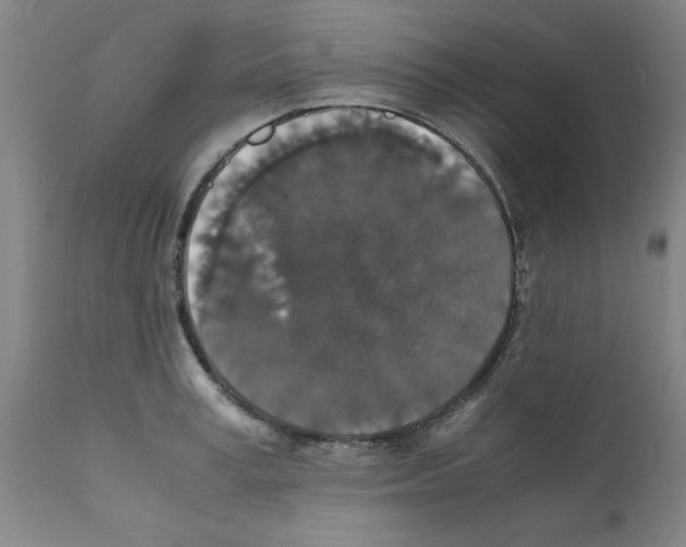 X0000112150995200909181419