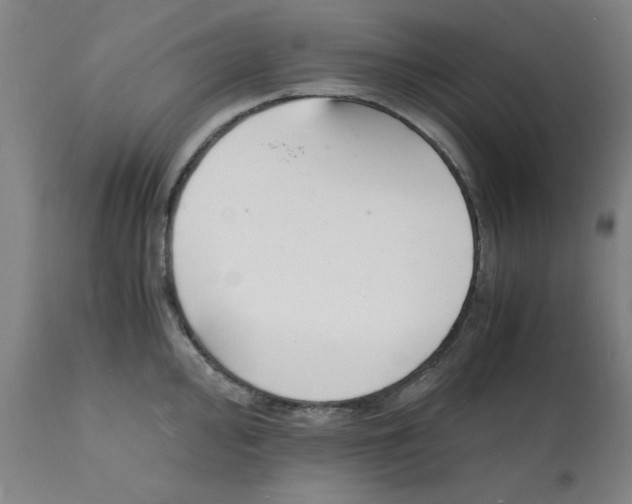X0000112151000200909181418