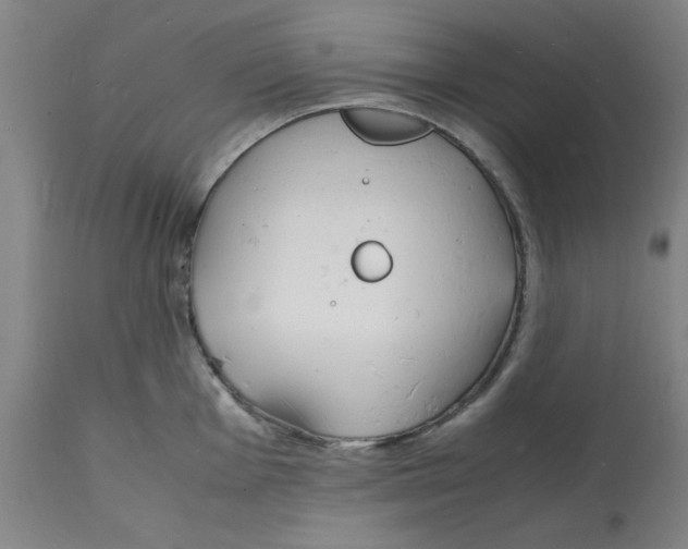 X0000112151001200909181418