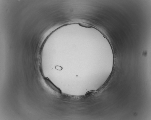 X0000112151003200909181418