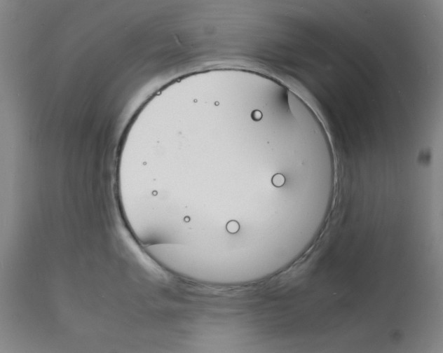 X0000112151005200909181418