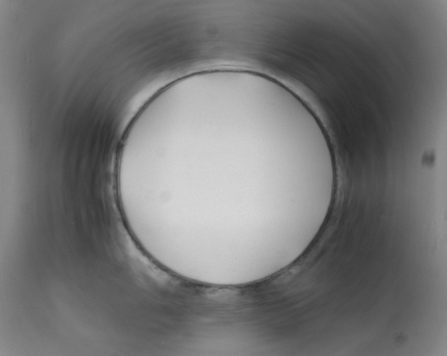 X0000112151006200909181418