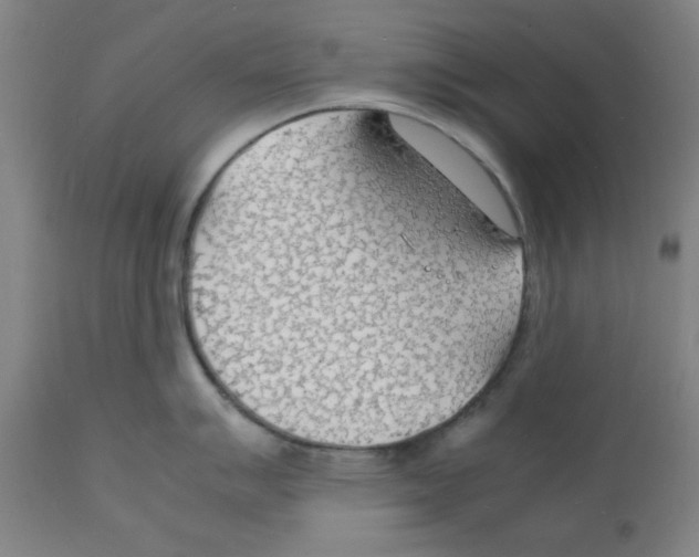 X0000112151007200909181418