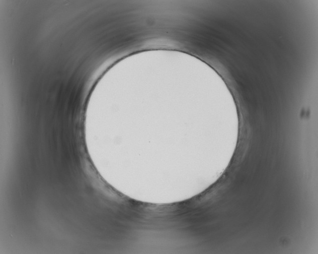 X0000112151008200909181418