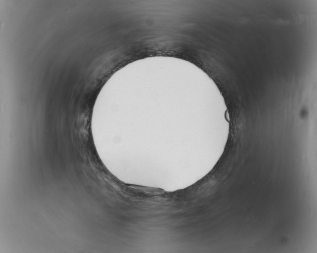 X0000112151010200909181417