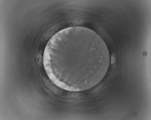 X0000112151011200909181417