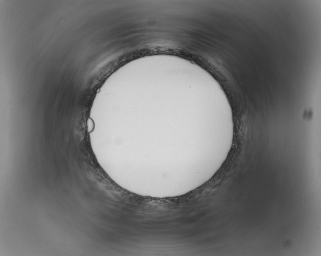 X0000112151015200909181417