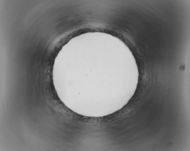 X0000112151016200909181418