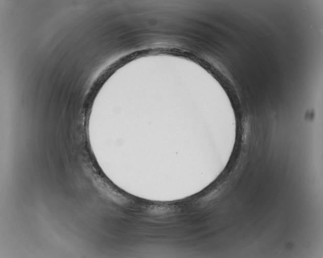 X0000112151021200909181418