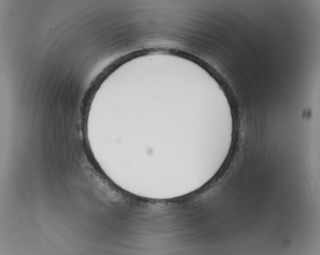 X0000112151022200909181418