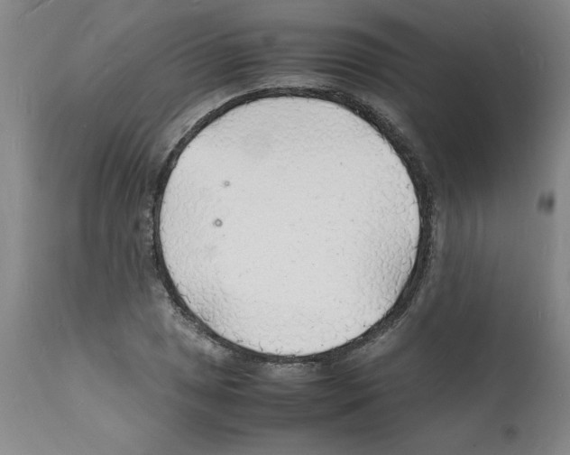 X0000112151025200909181418