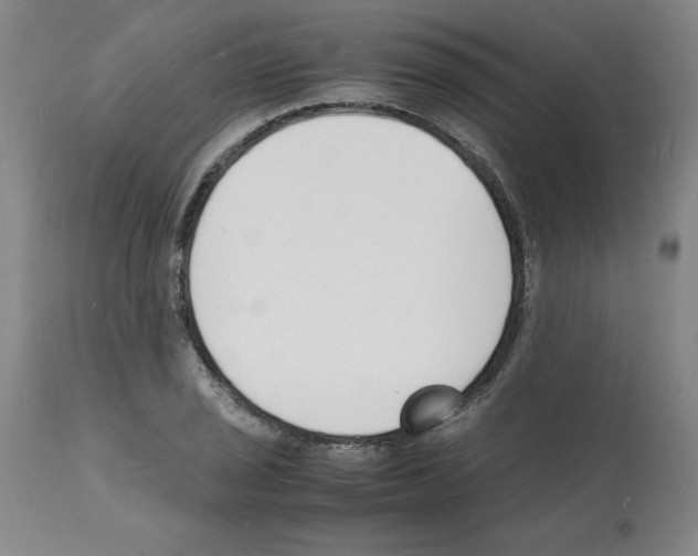 X0000112151029200909181418