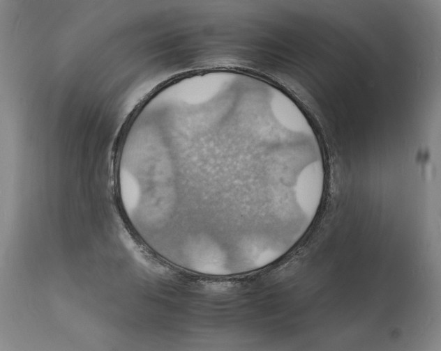 X0000112151031200909181418