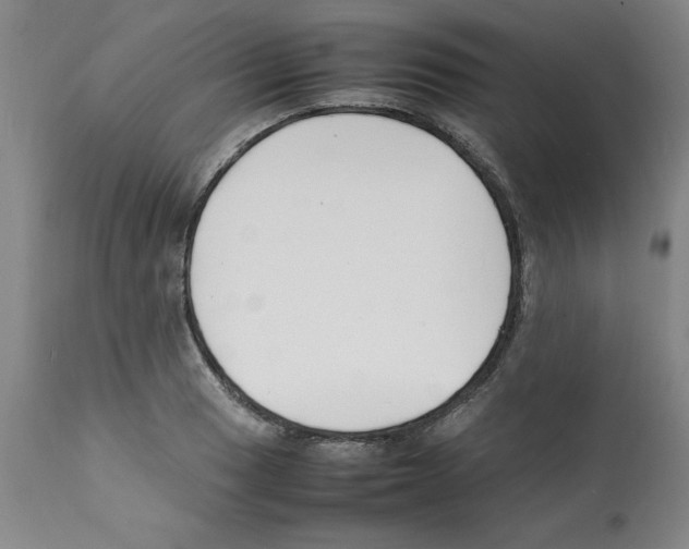 X0000112151033200909181418