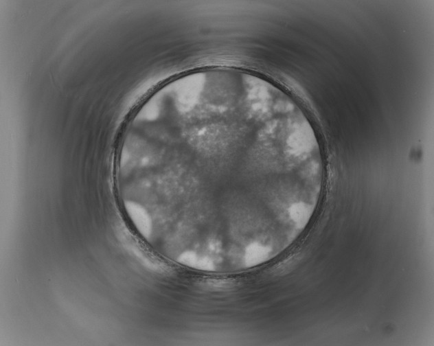X0000112151035200909181418