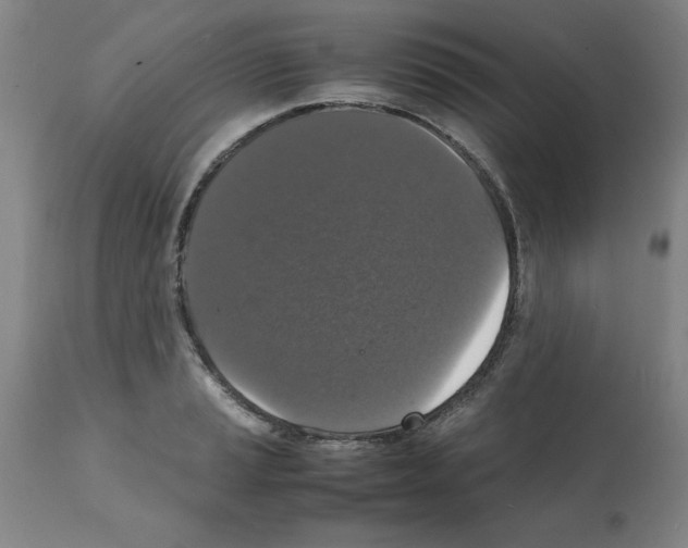 X0000112151037200909181418