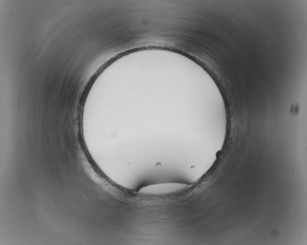 X0000112151038200909181418