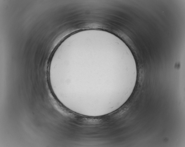 X0000112151039200909181418